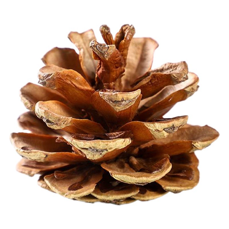 Рождественские украшения реквизит подарок Одиночная сосновая шишка сосновая башня кулон ручной работы DIY украшения поставки сосновая шишка оптом