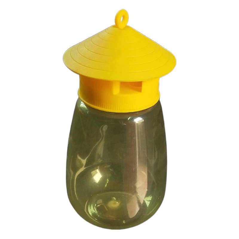 Дыни плодная муха игла пчелиная ловушка