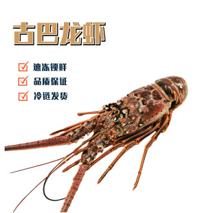 �ش������Ű����r���rС�۷�����r�������r�Ƙǲ͏d������؛�ͶY