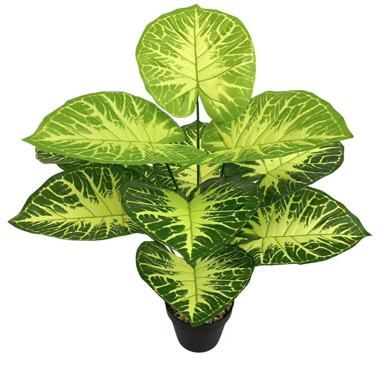 微信图片_20230222152134