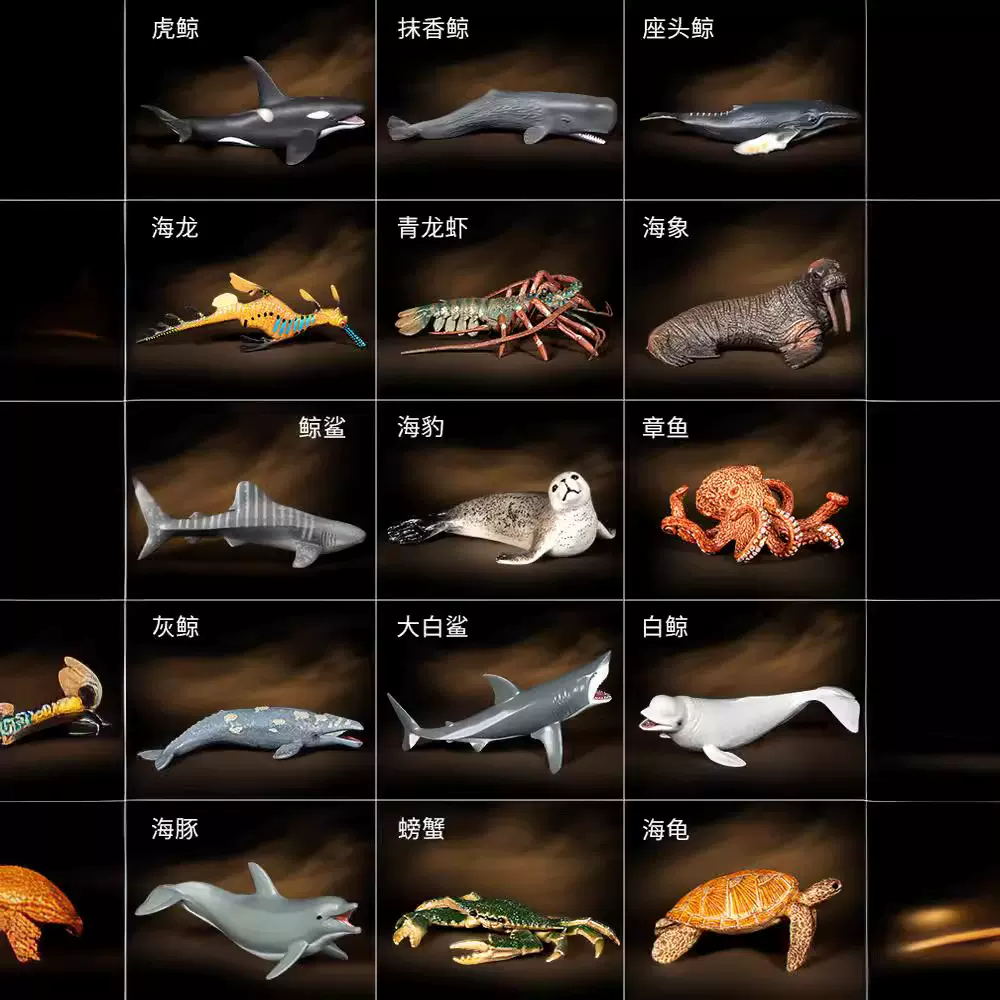 实心海洋动物大白鲨生物鲨鱼儿童模型仿真鲸鱼3虎鲸玩具4鱼缸摆件