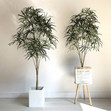 WLֲbȸľپGֲ҃̈ؔ[Fz