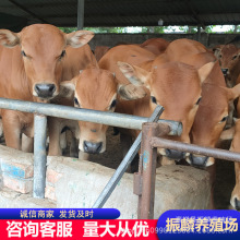 ������ţ���Bֳ�� �����Sţ�� ��ţ�كr�� �����Sţ��ţ��