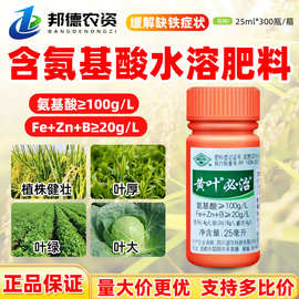 国光黄叶必治含氨基酸水溶肥料含铁锌硼微量元素防治小叶黄叶面肥