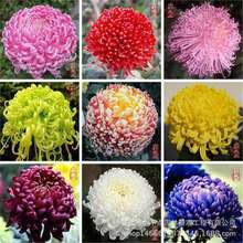 羳؛ջN̨҃ͥԺջNļN