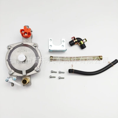 Dual Fuel Pressure Reducing Valve Lpg/Ng 168F 170F 188F 190F Generator Carburetor Accessories Regulating Valve