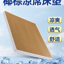 椰棕凉席床垫加硬护腰脊天然3e环保纯棕榈老人儿童3d乳胶冬夏两用