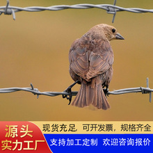 ����\���K���x�W�C���O�z�����������F��޼���o�WȦ���Bֳ�F�z�W