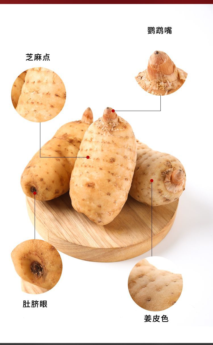 Fresh Wild-Simulated Black Gastrodia Tian Ma 500g Gift Box Yunnan Zhaotong Xiaocaoba Newly Harvested preparation