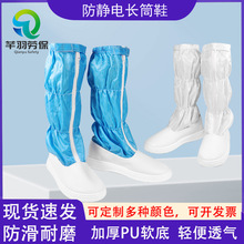 PU�_�W͸���Ͳ�o�mЬ���o�Ƥ���LͲ����ѥ�����Ӻ񝍃����oЬ