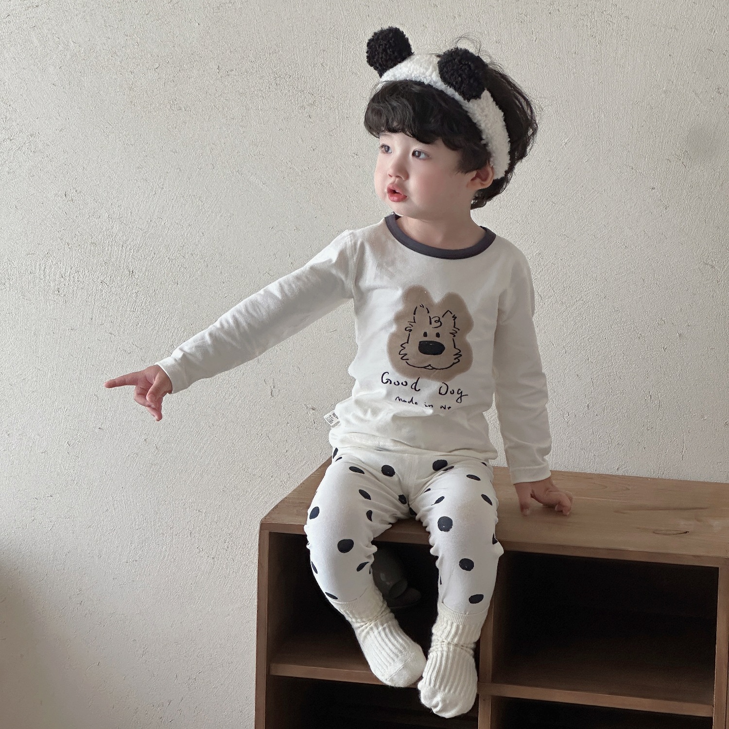 chó dalmatian / Cỡ 90