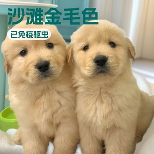 �pѪ�y��ë��Ȯ���w������äȮѲ��Ȯ����Ȯ��HȮ���͌���Ȯ����
