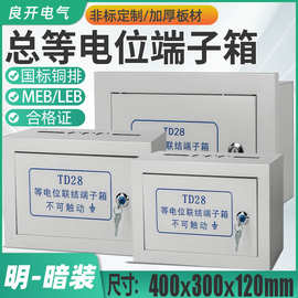 明装挂墙300*400总等电位箱TD28端子箱配电箱机房楼层防雷接地