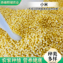 SlɹС rSС׼Zʳ СoʳּZС