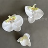 simulation Man-made butterfly orchid 3D Stereotype film parts Partially Prepared Products flower arrangement decorate Wedding celebration Silk flower Artificial flower