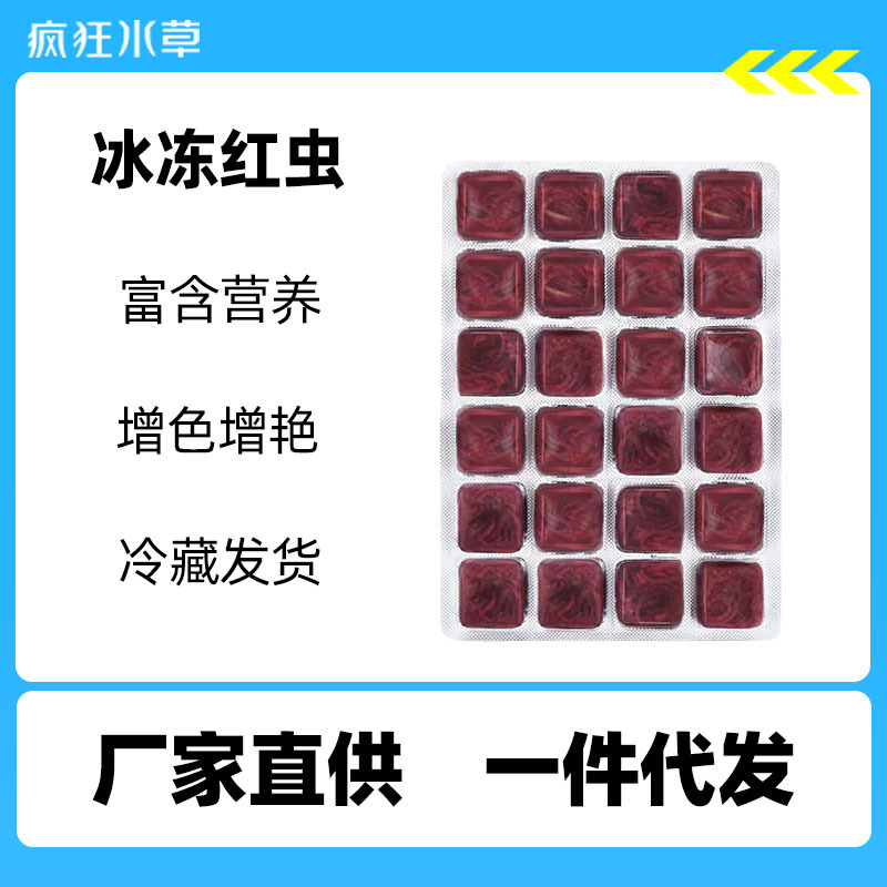 疯狂水草冰冻红虫赤红线虫精品鱼食七彩神仙鱼观赏鱼饲料厂家批发