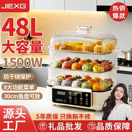 电热杯;养生壶;电热水壶