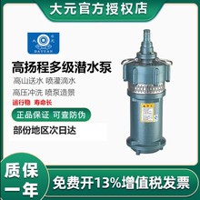 大元多级潜水泵家用大流量农用灌溉高扬程单相220V高压喷泉泵QD