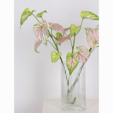 ���滨ֲ��Gֲ3D�ָз۾Gɫ�����~�ҾӲ����b廨���Լٻ����]