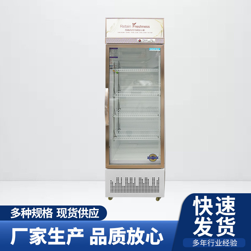 冷藏展示柜单门啤酒柜冷藏展示柜保鲜柜超市啤酒饮料柜单门双门