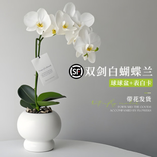 ��ʽ�����m���������b�͏d������ה[���ҕ�������b����Ի�ֲ��