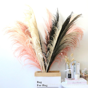 ��ϸɻ����l�쾰ܛ�b�̈���O����Ȕ�F�U�JȔ�����ׁ��L��Y�b�