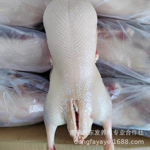 �|�l�Bֳ�S���l���_������ 4.4-4.7��ȥ��ȥצ�חl��