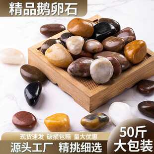 50���Z��ʯͥԺ䁵��·�~�׻��@�쾰�껨ʯԭʯ��С�Zܛ