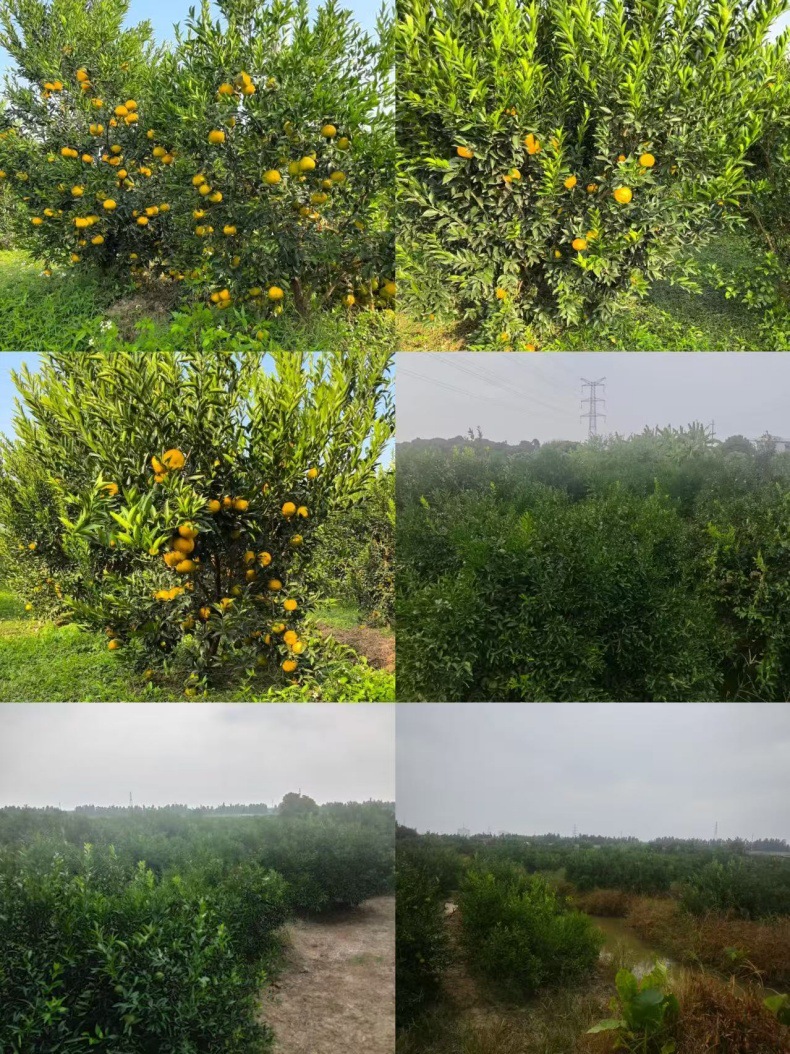 微信图片_20250327161036