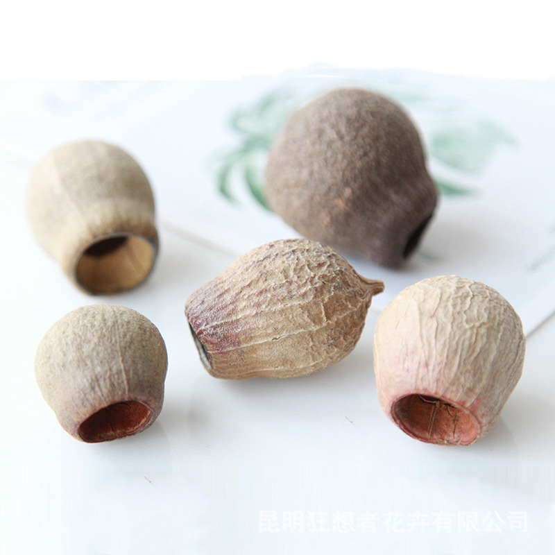 Một chiếc đồng hồ (5 chiếc trong một túi)