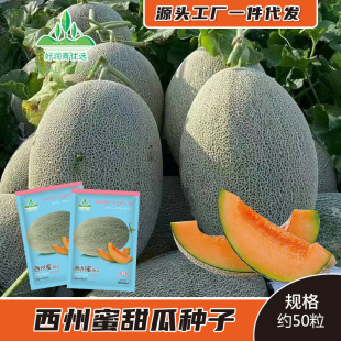 �����۾W�y���ܹϷN�Ӻ�Ƥ��ϷN�ѳ���ˮ���½��۹��Ѽt����ϷN