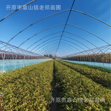 �������l�༾��õС���ļ�õ�������ͺ��t��÷����ľ��õ��Ǥ����