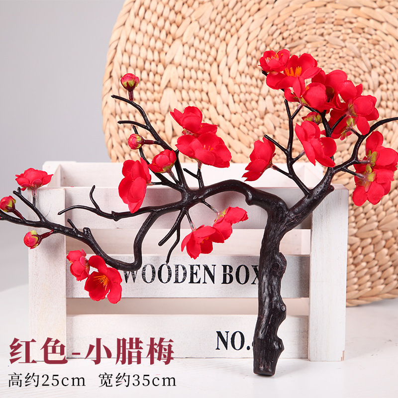 붉은 분재 윈터스윗