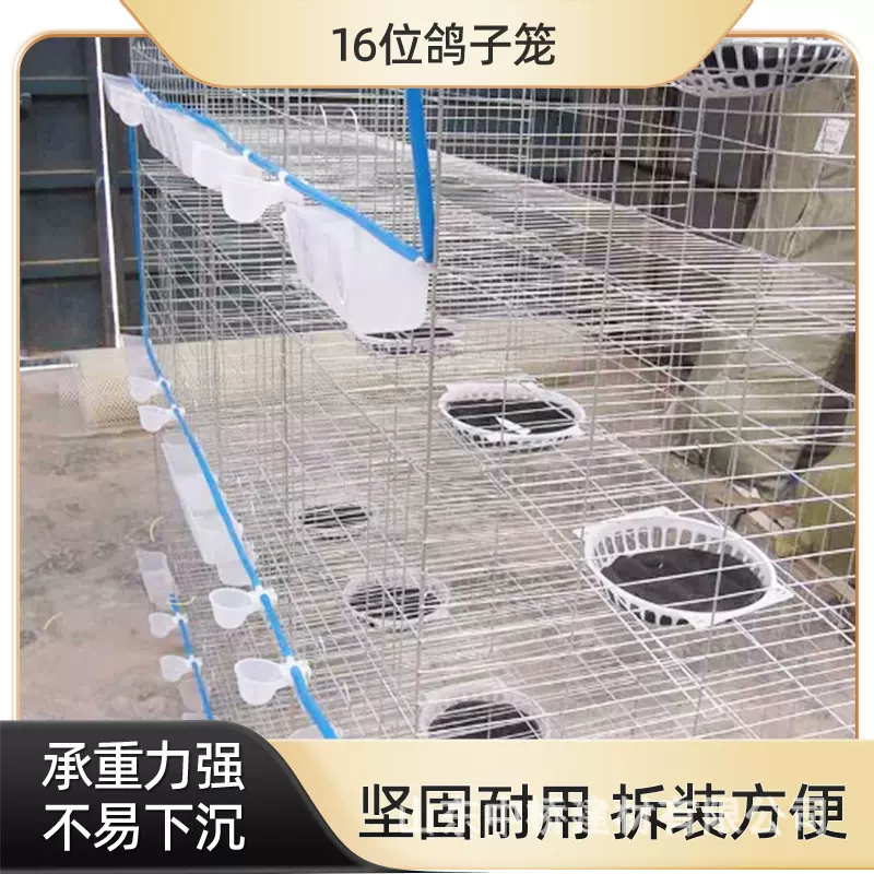 养殖笼小鸡笼子专用蛋鸡笼加密加粗防跑四层立体养鸡设备育雏笼子