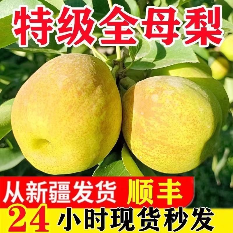 正宗新疆库尔勒香梨当季新鲜水果级梨子薄皮一整箱全母梨直发