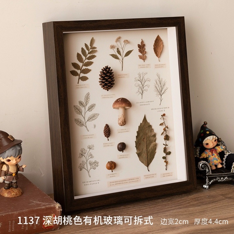 Dried Flower Photo Frame Handmade DIY Shell Plant Specimen Stereo Hollow Picture Frame Stone DIY Handmade Rose Collection