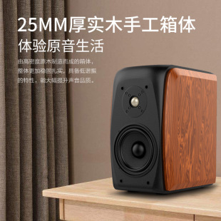 Shiyi Sony Fever Grade HIFI Home Living Room 6.5inch Passive Surround Desktop Monitor Bookshelf Speaker