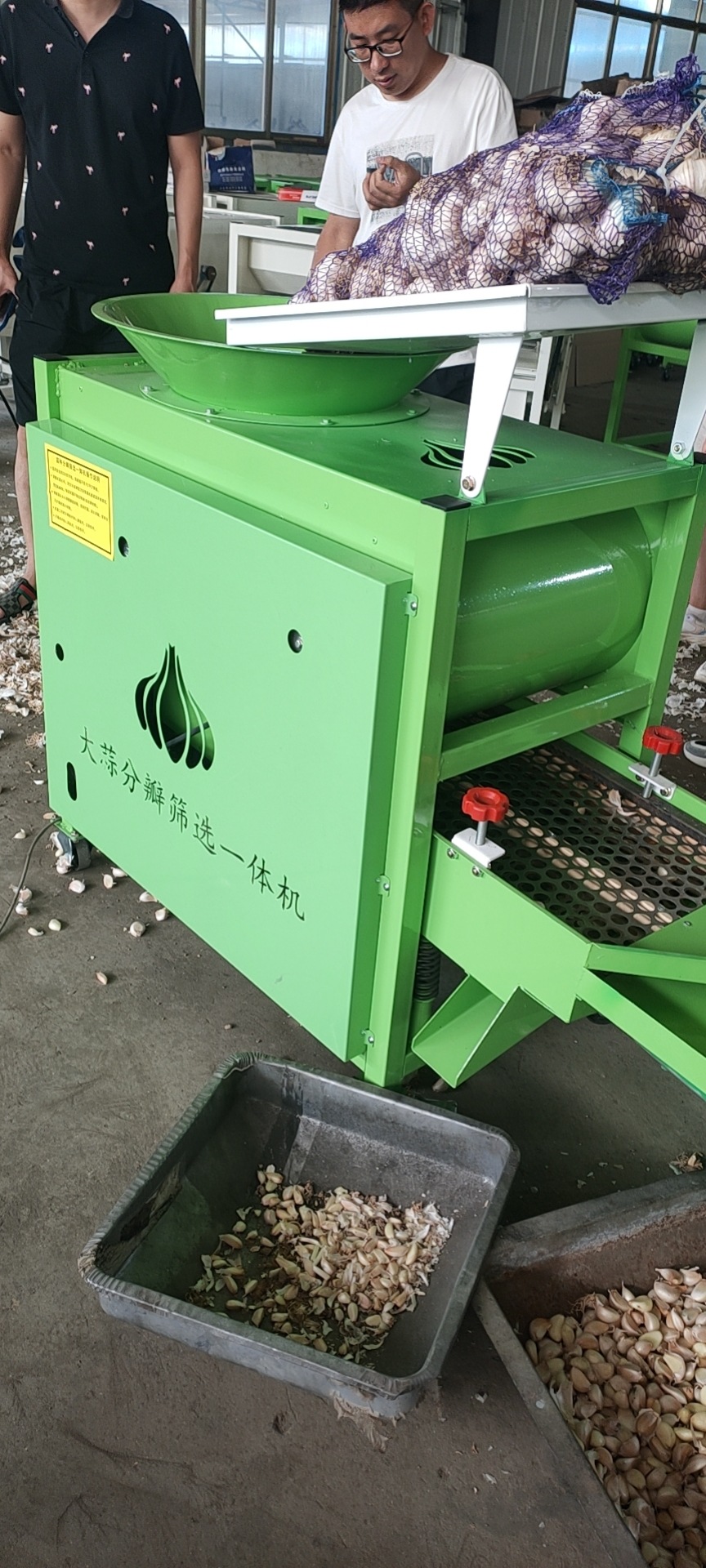 大蒜分瓣筛选一体机新款剥蒜分离机大蒜分瓣联合家用大蒜分瓣机