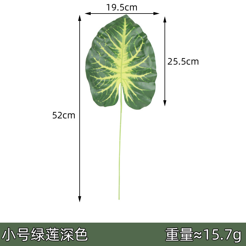 Tamaño pequeño Verde Loto oscuro