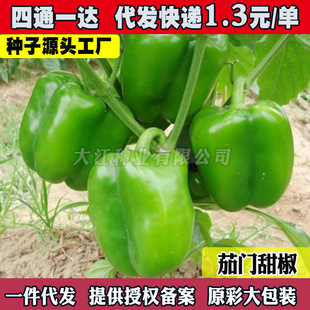 �ཷ�N�Ӽt���S�𽷷N���ļ�������ʴ����Ϸ��߲˷N��