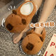 Capi Balaka soft cute water guinea pig cotton slippers autumn and winter warm all-inclusive plush couple home cotton slippers