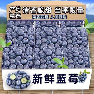 �����\���f������{ݮ�r�����r�߶�ˮ���������w��ɽL25�����ЋD