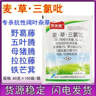 �W������� 62%����η�ݸ���������Ǹ����s�ݠ������݄��rș