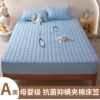 Fq-Egger Waterproof Bed Cover-Light Blue