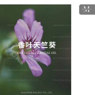 ���~���ÿ�����(Geranium) �����a�� ����õ���� �M�چη�����
