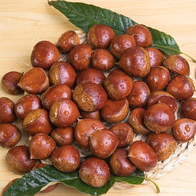 Raw chestnut 2022 Dandong Fresh 5 Chinese chestnut Season Vegetables Season factory wholesale