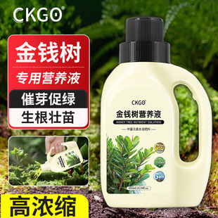 CKGO���X��I�BҺ���÷��҃�����ֲ������ˮ��ͨ�����~�Sһ����