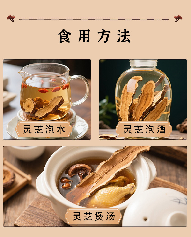Whole Reishi Mushroom Changbai Mountain Dried Lingzhi Gift Box Nourishing Herbal Wellness in use