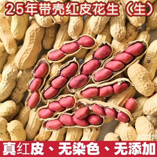 25�＾�»��������tƤ�����������t��Ƥ�t�¼tƤ���l���uͨ���N