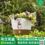 家用壁挂式跨境吸水花盆